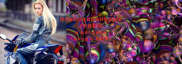 прущая мука Бородино