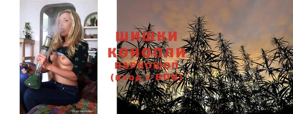 прущая мука Бородино