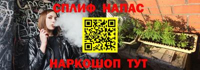 молекула духа Гатчина