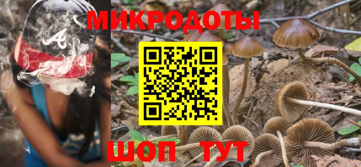 Галлюциногенные грибы GOLDEN TEACHER Медногорск