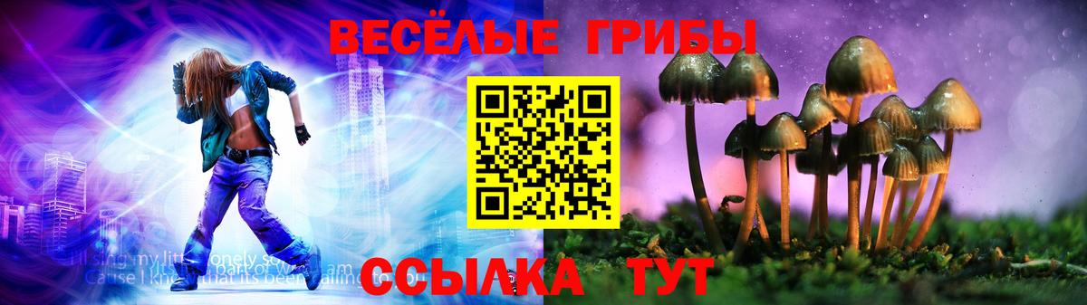 Медногорск  Псилоцибиновые грибы Cubensis  Вход с VPN 