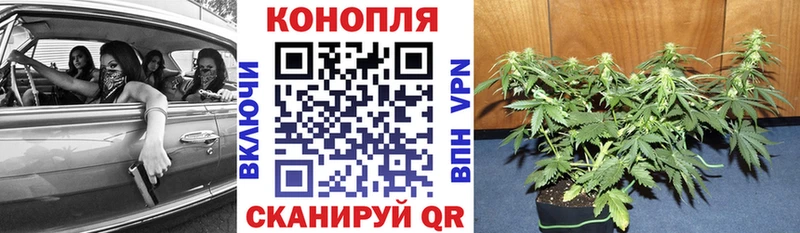 Канабис White Widow Медногорск